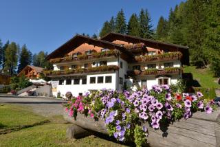 Hotel Pontives - Ortisei - 0