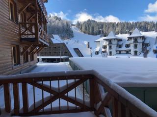 Apartment 101 - Aparthotel Vucko Jahorina private host - Jahorina - 9