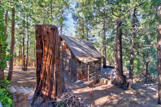 Walden in the Woods - Idyllwild - 9