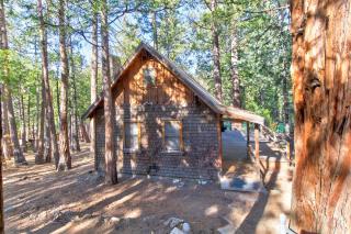 Walden in the Woods - Idyllwild - 2