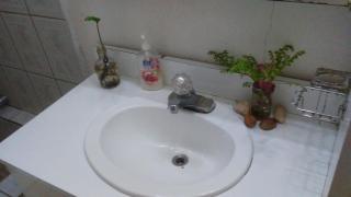 Don Santiago Guesthouse Downtown - San Ignacio - 2