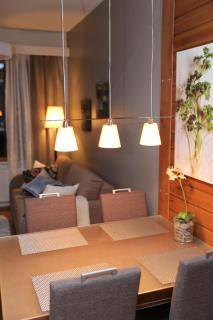 All Ice Lapland Chalets I - 3