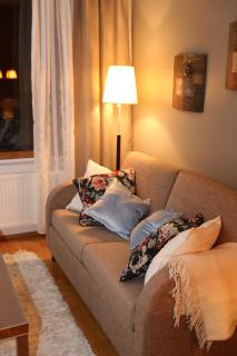 All Ice Lapland Chalets I - 4