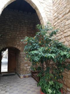 Dar Camelia - 4