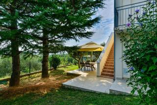 Apartment Robinson - Podvršje - 2