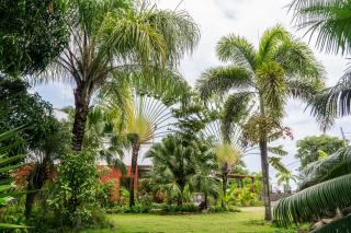 Emoyeni Gardens - São Tomé - 7