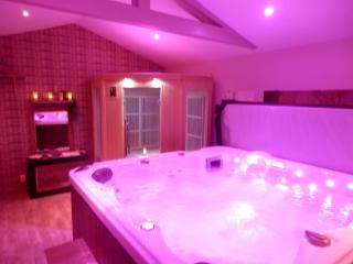 Suite luxe avec sauna et jacuzzi privée - Lambesc - 2