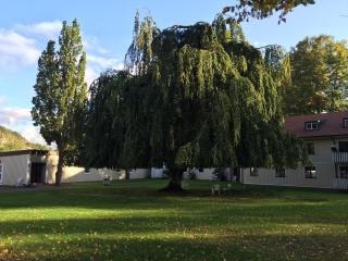 Åtorps herrgård - 4