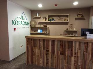 Apartmani u Vili Kopaonik - 1
