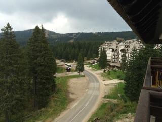 Apartmani u Vili Kopaonik - 4