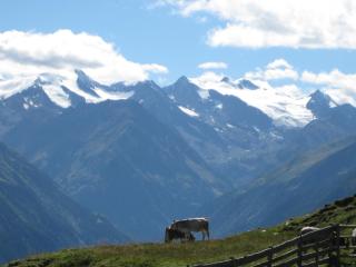 Haus Gamskogl - Neustift im Stubaital - 2