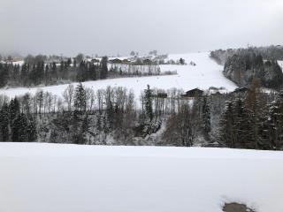 Haus Schladming - 1