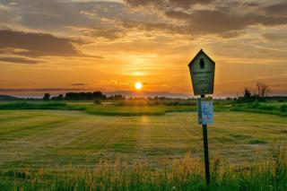 Ferienhof Rausch - 7