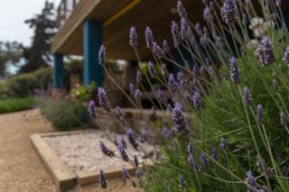 Cinque Colori Bed & Breakfast- Spa - Algarrobo - 5