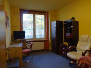Ferienwohnung direkt in Ilmenau - Ilmenau - 8