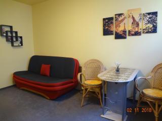 Ferienwohnung direkt in Ilmenau - Ilmenau - 3