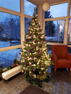 Hotel Zur Eisenbahn - 4