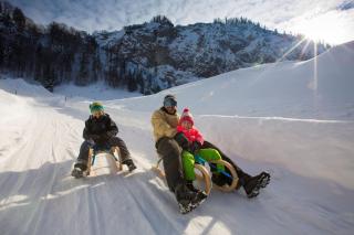 BIO- Bauernhof Obermaurach - 3