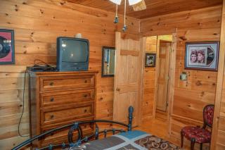 Sleepy Bear Hideaway - Mineral Bluff - 1