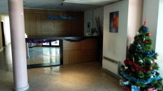 Ski Apartment D50 Cedar Lodge 4 - Bansko - 4