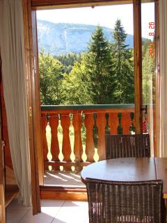 LES CARROZ LE LAYS cosy apartment 40M2 vue montagne plein sud - Les Carroz d'Araches - 2