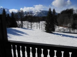 LES CARROZ LE LAYS cosy apartment 40M2 vue montagne plein sud - Les Carroz d'Araches - 5