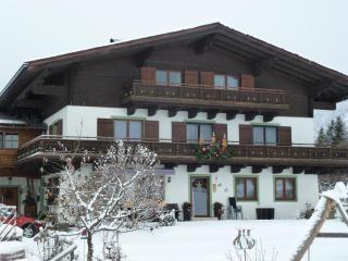 Wiesingbauer - Saalfelden am Steinernen Meer - 3