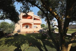 Apartments Olive - Zaton - 0