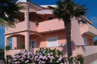 Apartments Olive - Zaton - 5