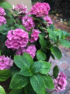 10 Alexander B&B - 7