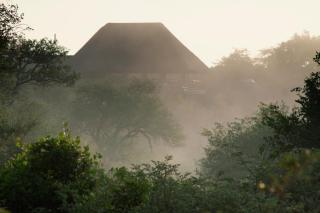 Naledi Lodges - Balule Game Reserve - 6