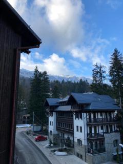 STILL Apartament Sinaia - Sinaia - 1