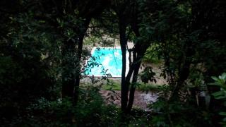 Casa Montseny con piscina,bosque - 7