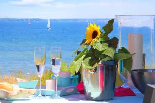 Ferienhaus Skagen - 4