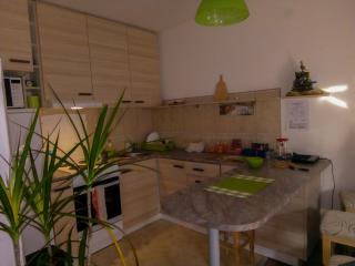 Smiley Apartman - Vrnjačka Banja - 4