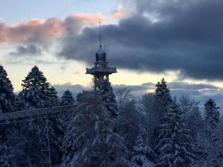 Petit Hôtel de Chaumont - 5