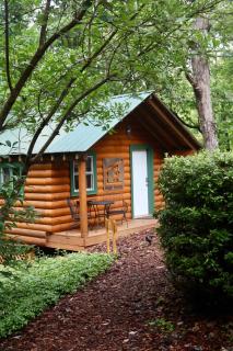 Barefoot Hills - Dahlonega - 5