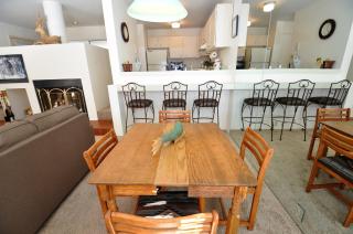 Cozy 1 Bedroom East Vail Condo #2C. Shuttle, Hot Tub, and Market on Site. - 3