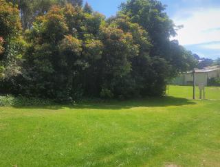 Warburton Holiday Park - 6