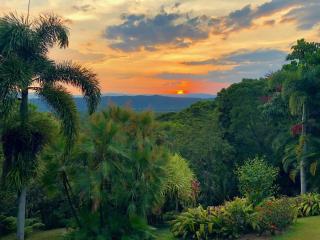 Daintree Manor B&B - Daintree - 0