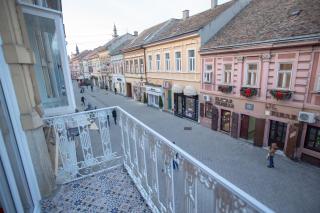 Royal Residence Singer - Novi Sad center - Novi Sad - 8