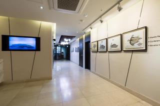 Vistacay Hotel Worldcup - Seogwipo - 1