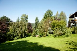 Landhotel Bayerwald - Grafling - 1