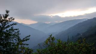 Vamoose Magnolia Homestay - 0