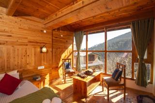 Zostel Homes Cheog (Shimla) - 6