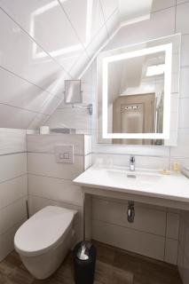 Best Western Plus Au cheval Blanc à Mulhouse - Baldersheim - 3