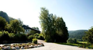 Landhotel Bayerwald - Grafling - 2