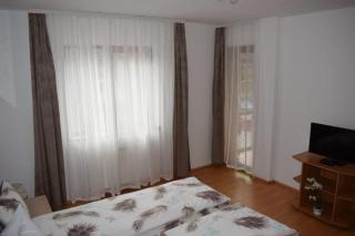 Apartament Trei Stejari - Sibiu - 9