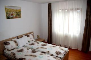 Apartament Trei Stejari - Sibiu - 0