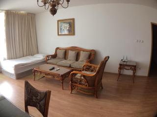 Oasis Suites Apartments and Studios - 7